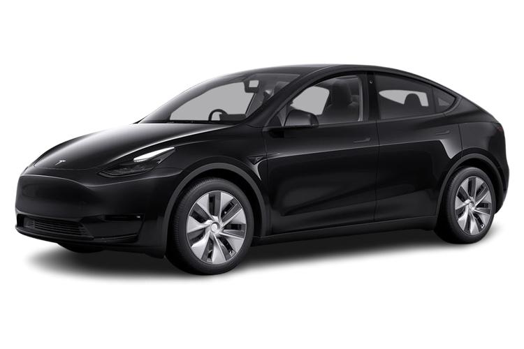 MODEL Y